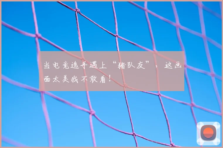 当电竞选手遇上“猪队友”,这画面太美我不敢看!