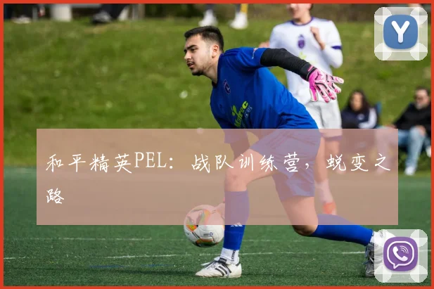 和平精英PEL:战队训练营,蜕变之路