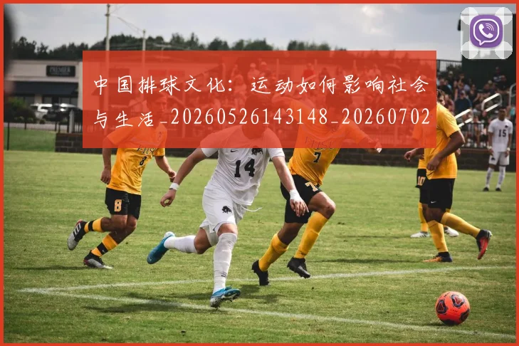 中国排球文化：运动如何影响社会与生活_20260526143148_20260702202423