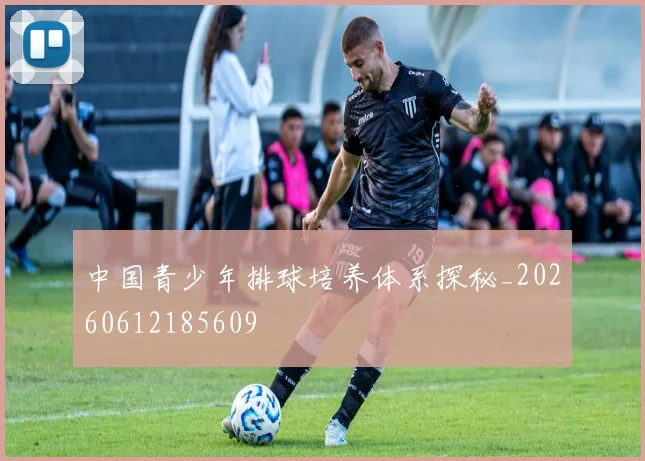 中国青少年排球培养体系探秘_20260612185609